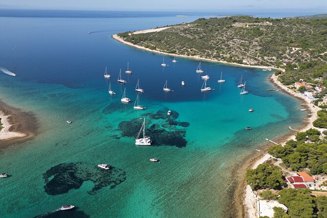 From Trogir & Split: Half Day Speedboat Tour with Blue Lagoon - Choosing Your Time Slot: Morning vs Afternoon