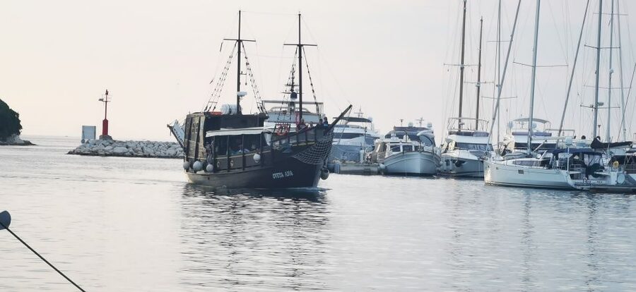 From Vrsar: Boat Trip to Rovinj and Lim Fjord - Pirate’s Cave swim stop: clear water, but read the small print