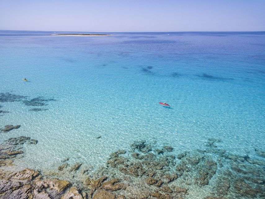 From Zadar: Dugi Otok Half-Day Kayak Adventure - Veli Žal beach: your first taste of island water and real sand