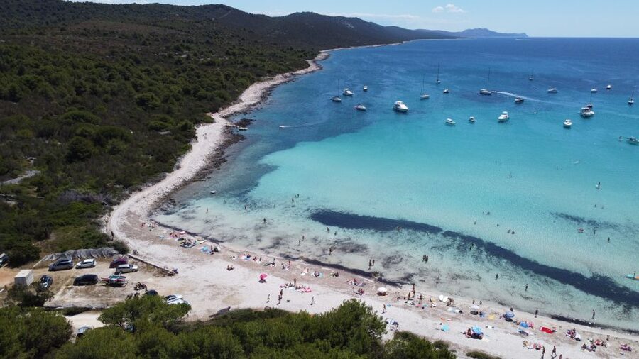 From Zadar: Full-Day Boat Trip to Sakarun Beach & Dugi Otok - Zadar to Sakarun in One Day: How the 8 Hours Really Work