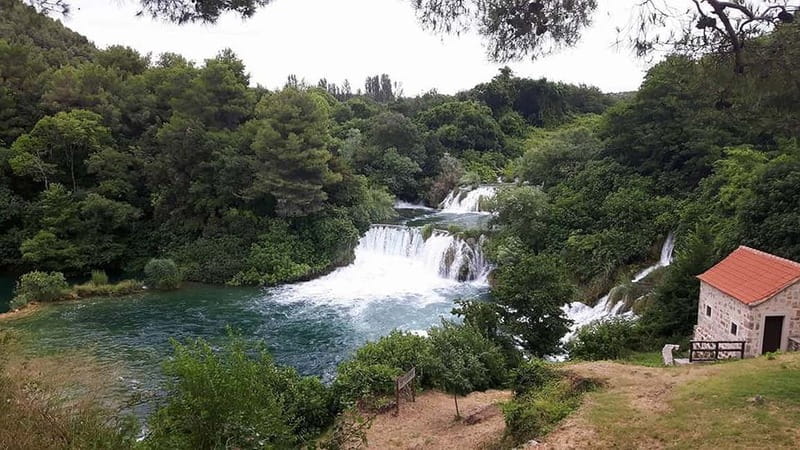 From Zadar: Krka National Park Full-Day Tour from Zadar - Birdwatching at Krka: the nature angle beyond the falls