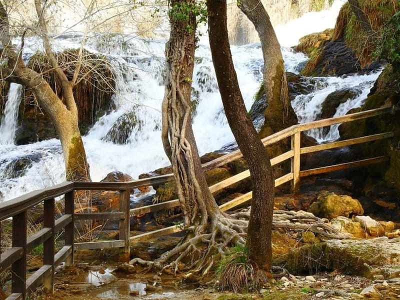 From Zadar: Krka National Park Full-Day Tour from Zadar - Price and value: $70 plus a seasonal entry fee