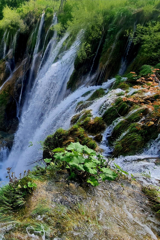 From Zadar: Plitvice Lakes Day Trip with Guide and Boat Tour - Quick hits on this Zadar to Plitvice day trip