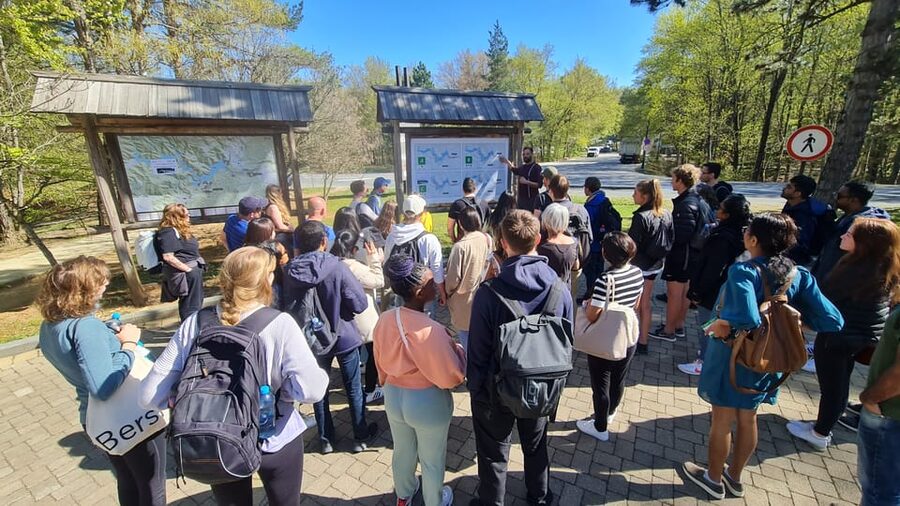 From Zadar: Plitvice Lakes Guided Tour with Boat & Train - The Morning vs Afternoon Tour Differences (And Why Timing Matters)