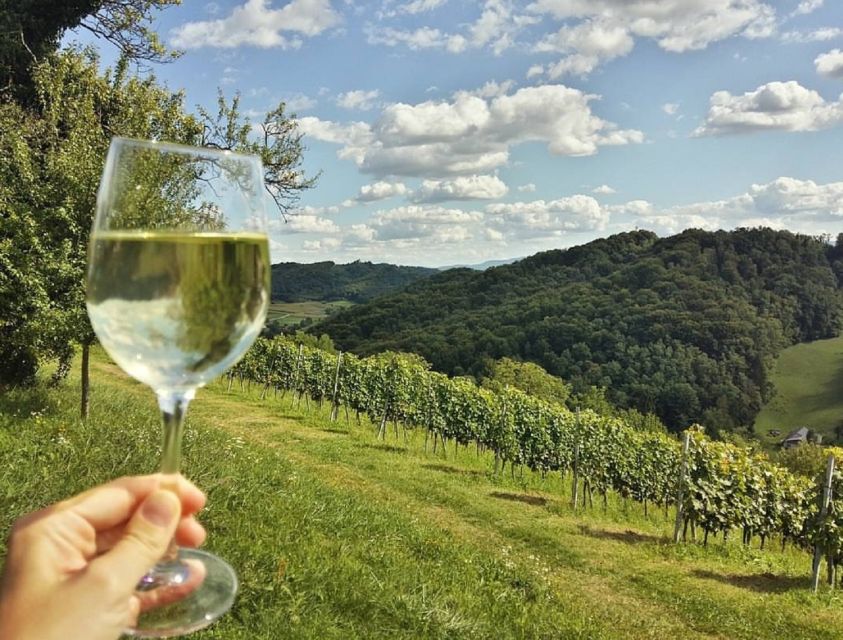 From Zagreb: Fairytale Castle & Wine Tasting & Lunch - Vuglec Breg Winery Hills: Four Wines, Vineyard Views, and How to Taste Smart