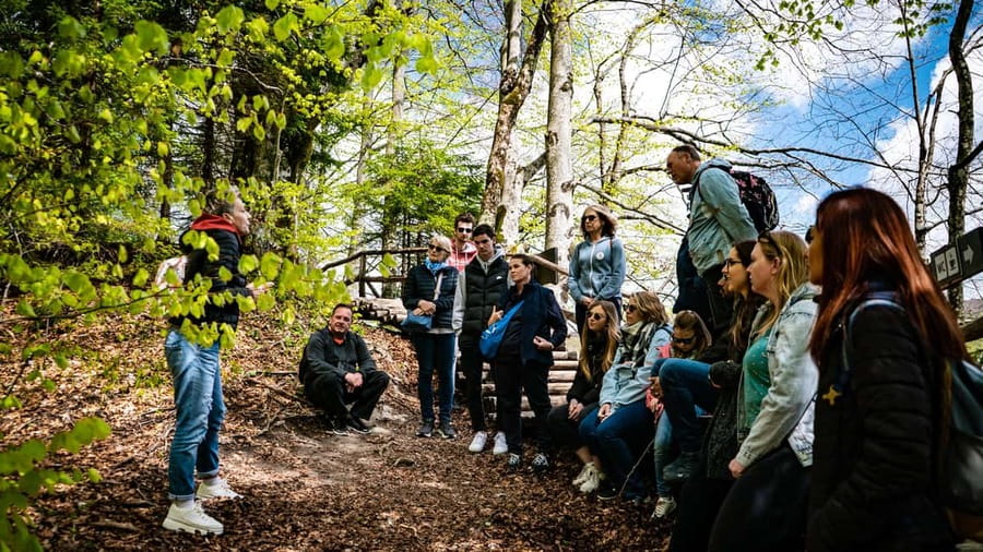 From Zagreb: Plitvice Lakes National Park Full-Day Tour - Plitvice Lakes from Zagreb: why this tour works