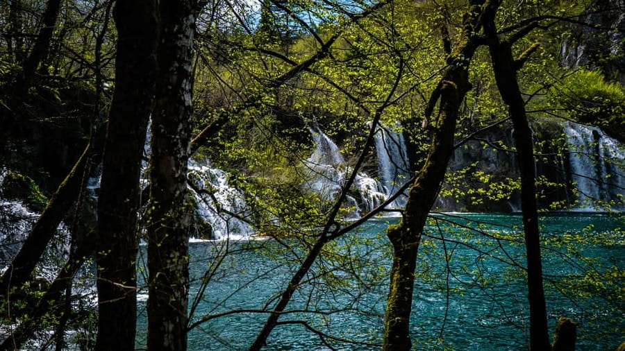 From Zagreb: Plitvice Lakes National Park Full-Day Tour - Guide quality: the names I’d look for in the day’s storytelling