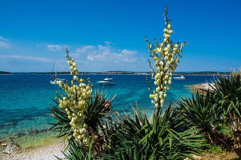 Full-Day Boat Trip, Cave Swim, lunch & Drinks - Medulin/Ceja - From Medulin to the Adriatic: how the day really flows