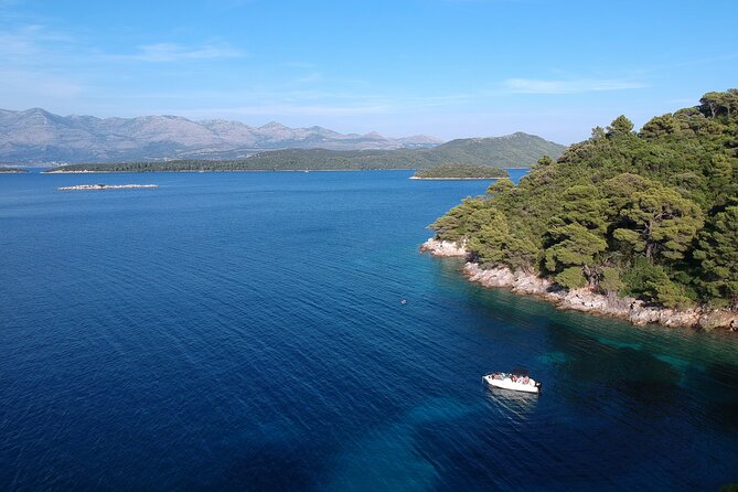 Full-Day Elafiti Islands Private Speed Boat Tour by Quicksilver 675 - Who should book this private Elafiti tour from Dubrovnik