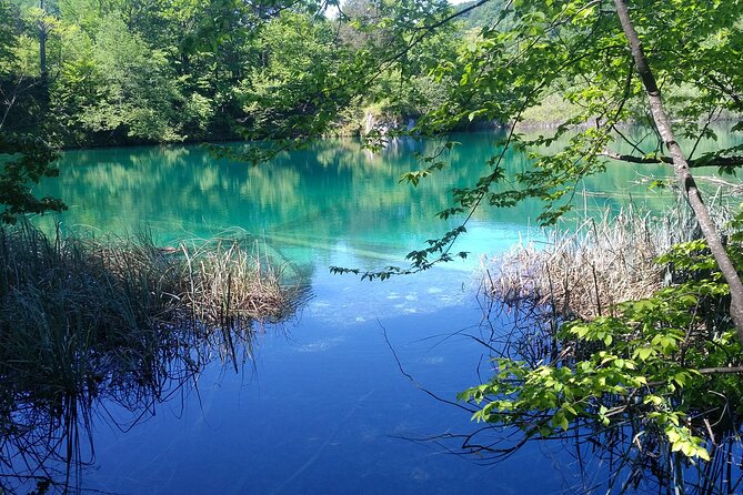 Full-Day Private Tour of Plitvice Lakes National Park from Zadar - Key highlights you will feel right away