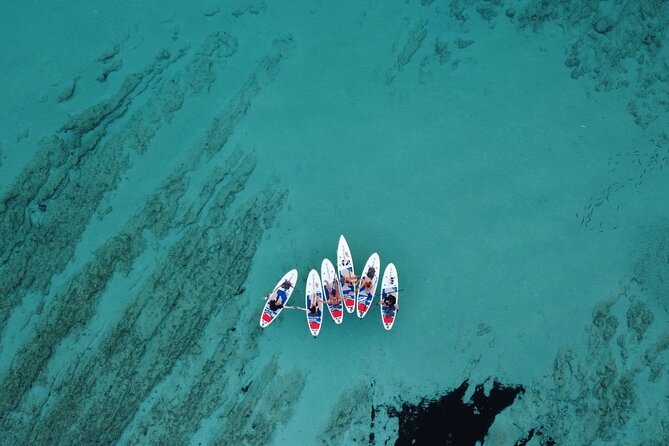 Full-Day Tour in Dugi Otok with Stand-Up Paddle Experience - Price and Logistics: Is $126.15 Good Value?