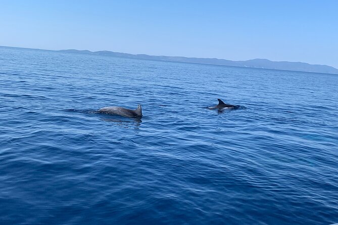 Fully customized private boat trip from Trogir and Split - What’s Included on the Water, and What You’ll Pay For
