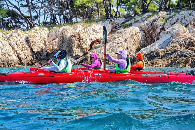 Half Day Paklinski Islands Sea Kayak Tour - Price and value: is $96.11 per person a good deal?