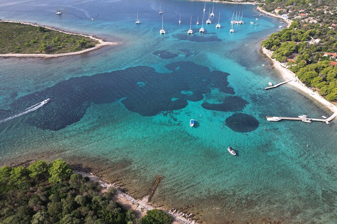 Half-Day Private Blue Lagoon Island Tour in Croatia - Price and value: $900.18 per group, up to 12 people