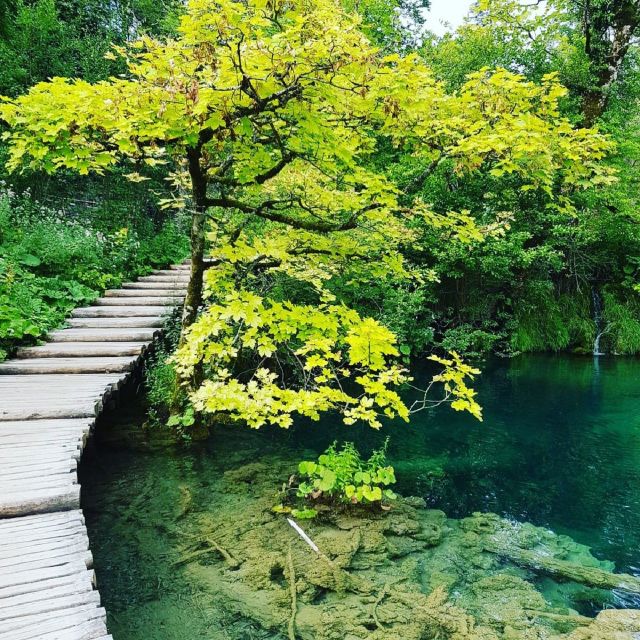 Half day tour around Plitvice Lakes - The panoramic train ride for Lower Lakes viewpoints