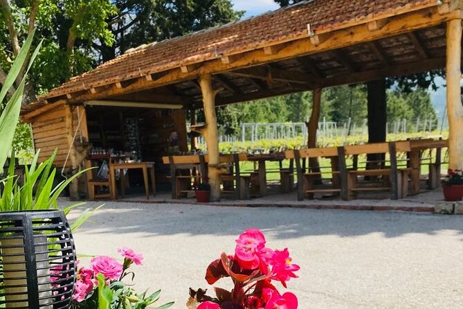 Half-Day Wine and Food Tasting from Dubrovnik - Price and value: about $121, and what you get for it