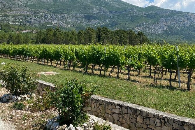 Half-Day Wine and Food Tasting from Dubrovnik - Who should book this half-day Dubrovnik wine and food tasting