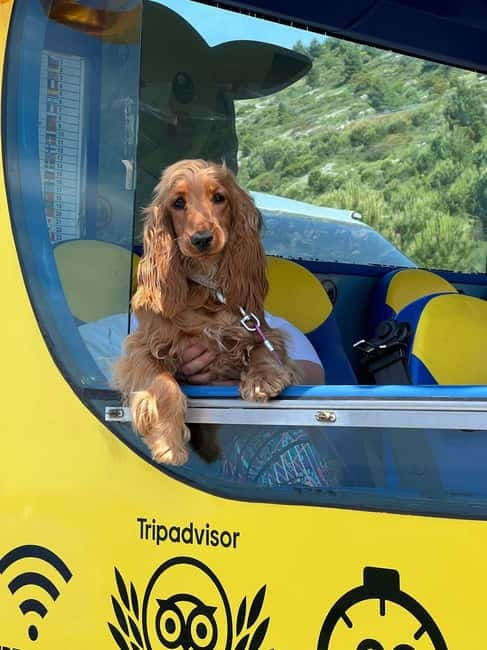 Hop-On Hop-Off Yellow Cabrio Tour: See Dubrovnik in 90mins - Where the tour fits into a Dubrovnik day plan