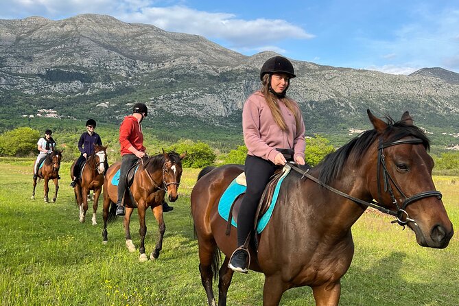Horseback Riding Experience with transport from Dubrovnik - Key highlights that matter before you go