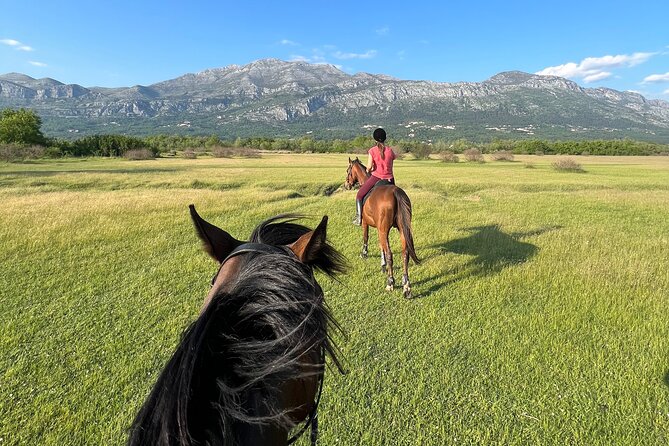 Horseback Riding Experience with transport from Dubrovnik - Konavle Horseback: Why This Feels Like Real Croatia