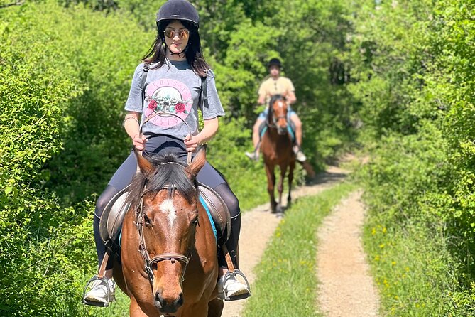 Horseback Riding Experience with transport from Dubrovnik - Small Group Size and English Guidance That Keeps It Personal
