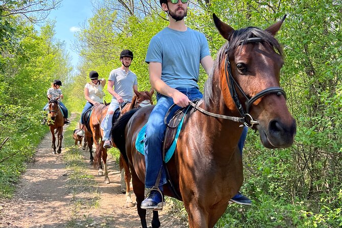 Horseback Riding Experience with transport from Dubrovnik - Who Should Book This Konavle Ride, and Who Might Skip