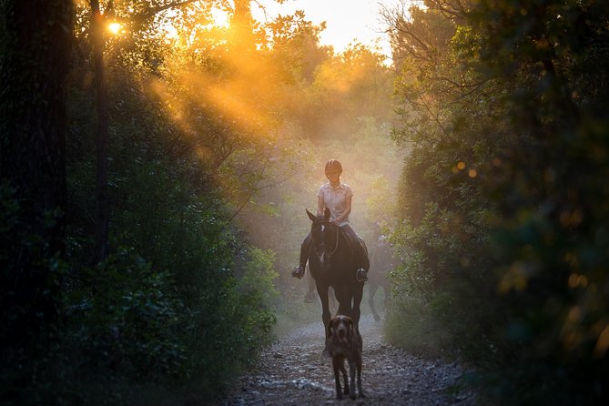 Horseback Riding in Konavle Region with Transport from Dubrovnik - Key highlights to know before you go