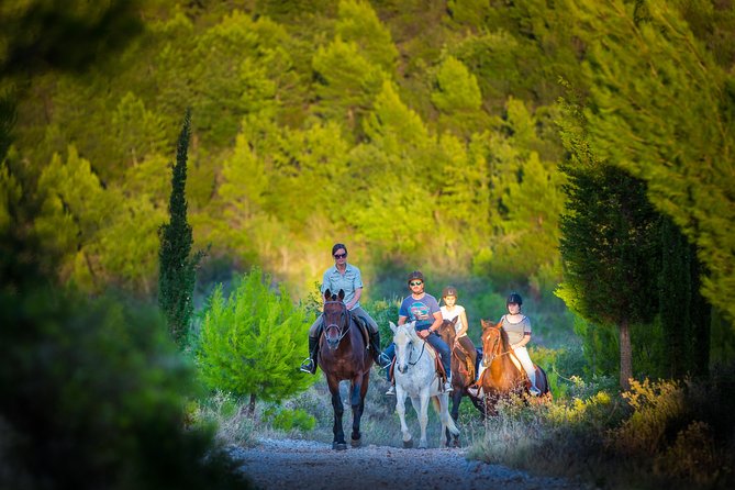 Horseback Riding in Konavle Region with Transport from Dubrovnik - Why Konavle horseback riding feels special from Dubrovnik