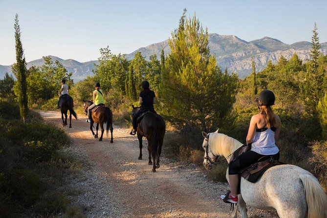 Horseback Riding in Konavle Region with Transport from Dubrovnik - Kojan Koral: safety gear, helmet fitting, and meeting your horse