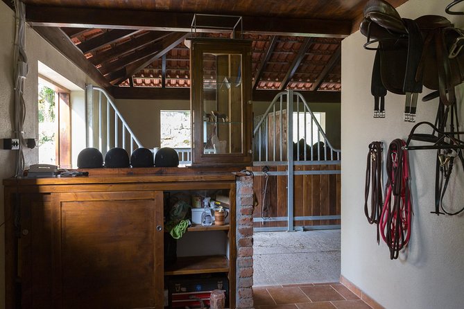 Horseback Riding in Konavle Region with Transport from Dubrovnik - The break and the romantic end: wine, snacks, and time to breathe
