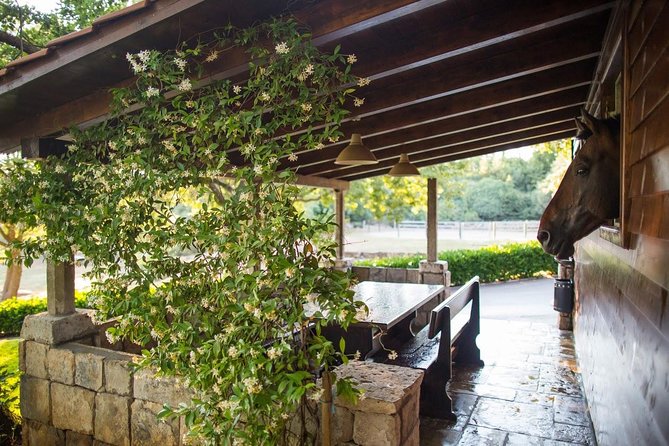 Horseback Riding in Konavle Region with Transport from Dubrovnik - Group size matters: why the cap of six is a big deal
