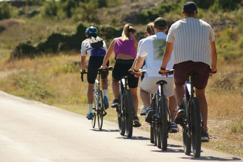 Hvar Island E-Bike Tour with Wine Tasting and Starters - Lacman Family Winery: organic wines, cold starters, and local food
