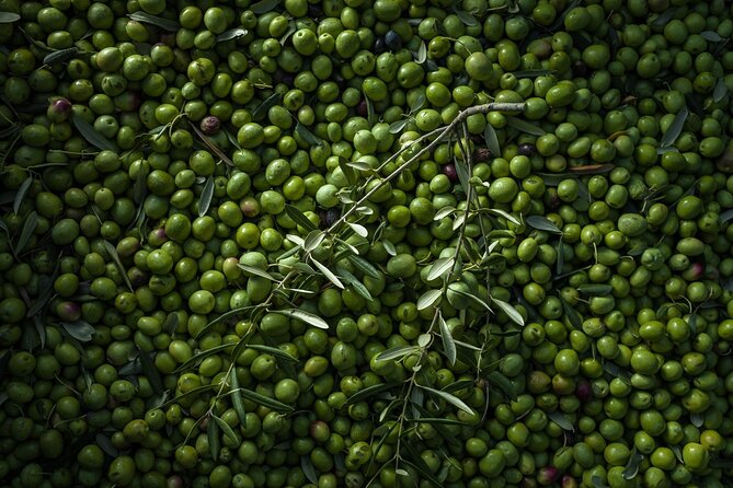 Hvar: Island tour with Wine and Olive Oil Tasting - What you actually taste, plus how purchases work on site