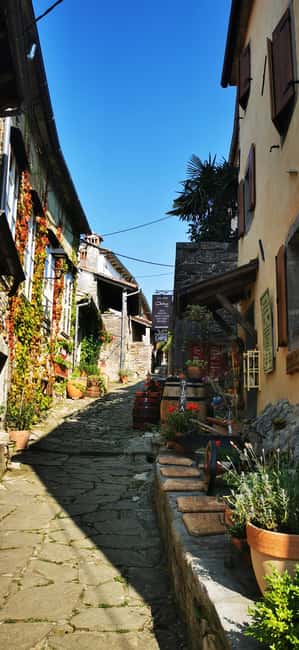 Istria Day Tour from Zagreb - Should You Book This Istria Day Tour from Zagreb?