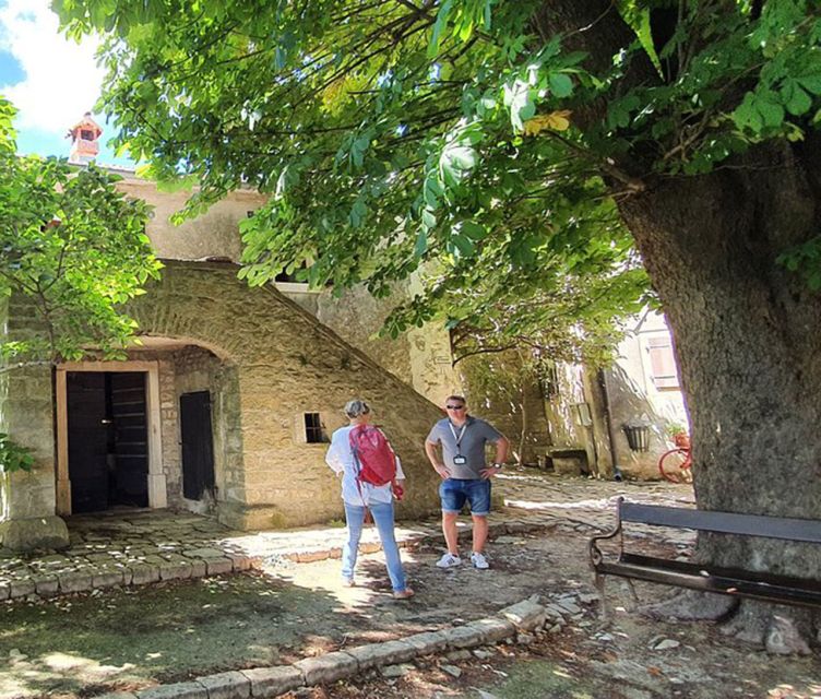 Istria: Guided Tour of Inner Istria with Food Tasting - Grožnjan, the medieval artist town you can actually walk
