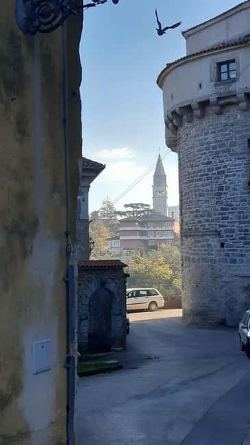 Istria: Guided Tour of Inner Istria with Food Tasting - Price and value, is $108 fair for an 8-hour inland day?