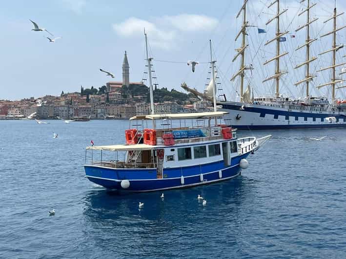 Izlet brodom iz Vrsara: Zalazak sunca i druženje s delfinima - Where the Dolphin Safari Starts in Vrsar Harbor