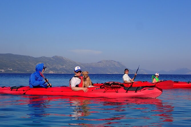 Kayaking Korčula's Paradise -Half Day Guided Kayak Tour - The guides and the vibe: why small-group storytelling matters