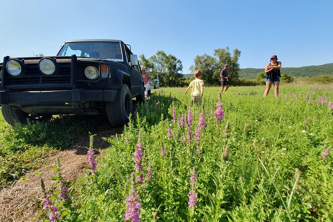 Konavle Jeep Safari Tour from Cavtat with Lunch - What the off-road driving actually feels like