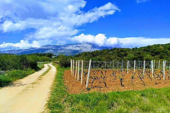 Korcula Bike & Wine Tour | Wine Tasting in Lumbarda - The first short segment at Ulica Plokata: gear up like a pro