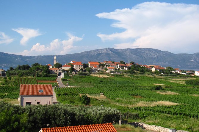 Korcula Bike & Wine Tour | Wine Tasting in Lumbarda - The main event: two wineries in Lumbarda, with Grk and Posip