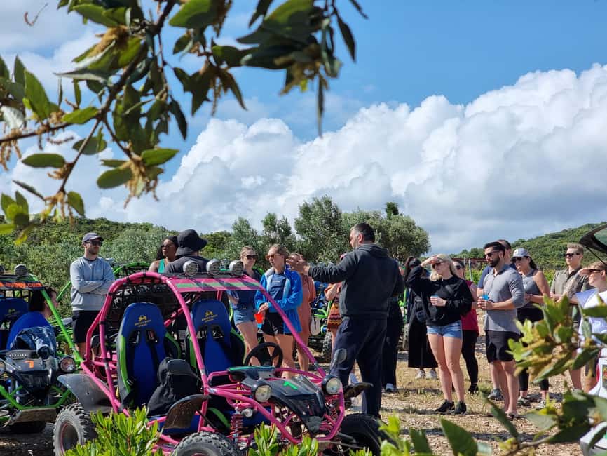 Korcula: Buggy Safari with Local Food and Wine Tasting - Value check: why $129 feels fair for what you get