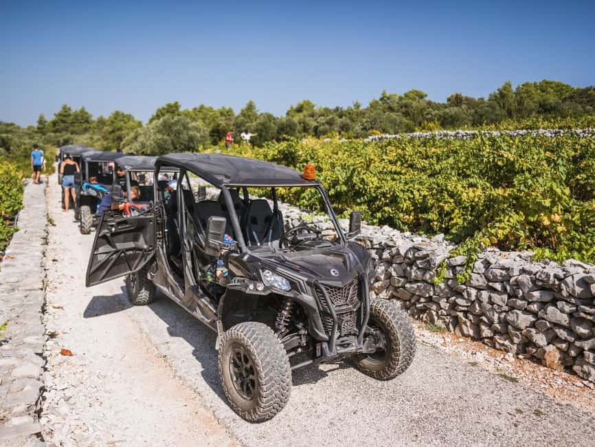 Korcula Buggy Safari With Wine Tasting - Key things I’d plan around