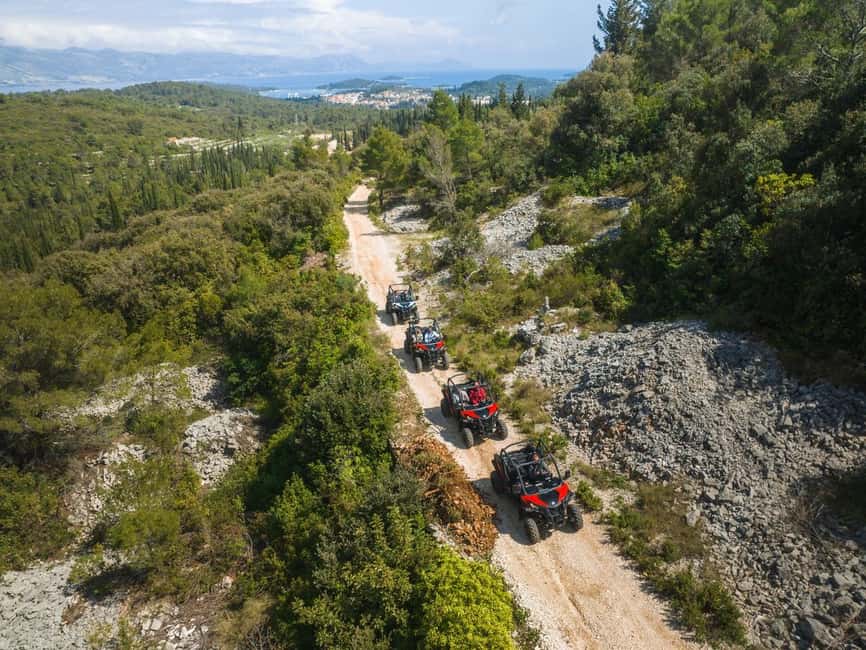 Korcula Buggy Safari With Wine Tasting - Olive groves, vineyards, and village roads (the main event)