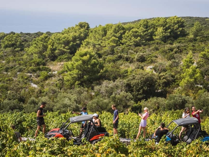 Korcula Buggy Safari With Wine Tasting - A second beach stop, plus a viewpoint with postcard views