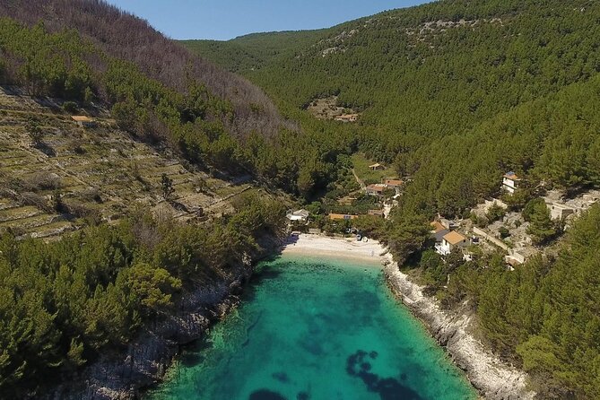 Korcula Island Mountain E Bike Private tour with lunch - Winery and wine tasting on an agrotourism visit