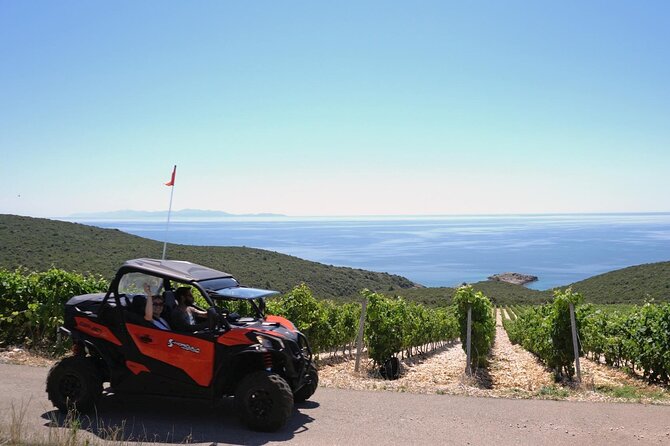 Korcula Island Private Buggy Beach Hunting Safari with lunch - Key things to know before you go