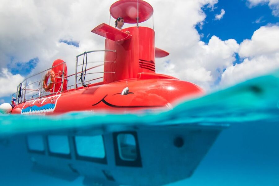 Korcula: Semi-Submarine Tour - Marine Life and Window Time: Making the Most of Your Viewing