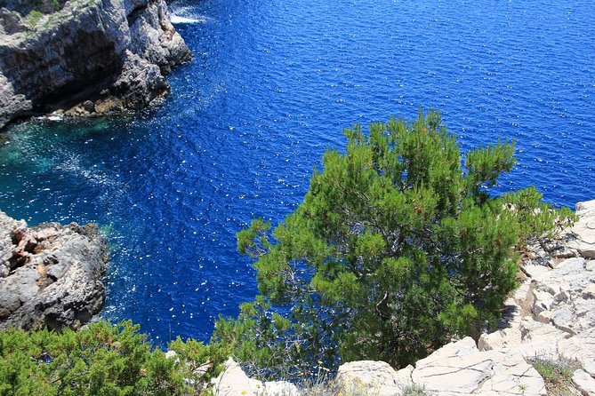 KORNATI by speed boat - Kornati by speed boat, quick hits