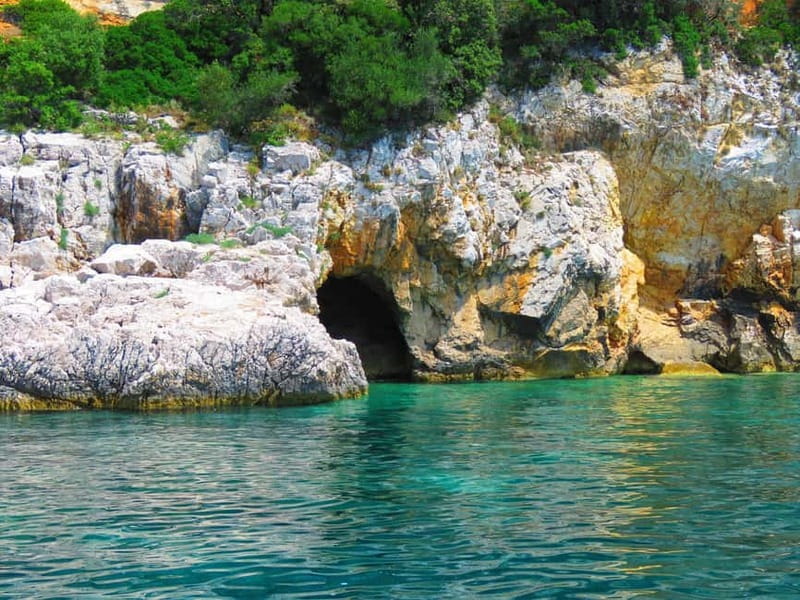 Krk: Golden Beach and Blue Cave Cruise with Welcome Drink - Griffon vultures on Plavnik, the wildlife stop that feels real